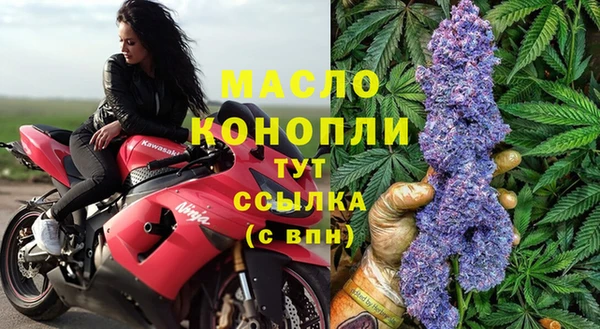 прущие грибы Беломорск