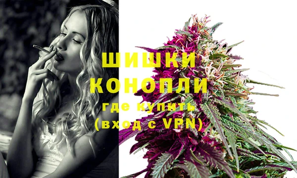 шишки Балабаново