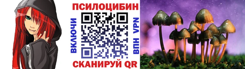 Псилоцибиновые грибы MAGIC MUSHROOMS  Пионерский 